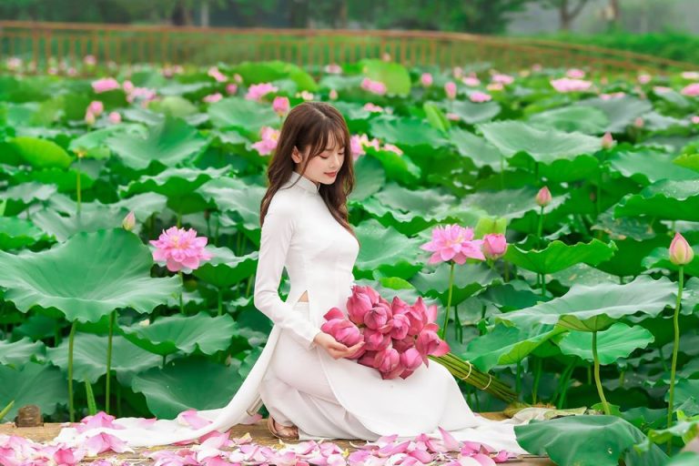 Bí quyết chụp ảnh với hoa sen đẹp