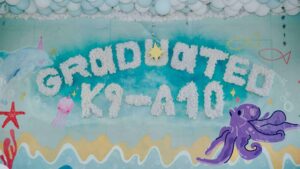 Tường kỷ yếu Graduated K9-A10 vẽ bạch tuộc tím và sao biển trên nền xanh ngọc