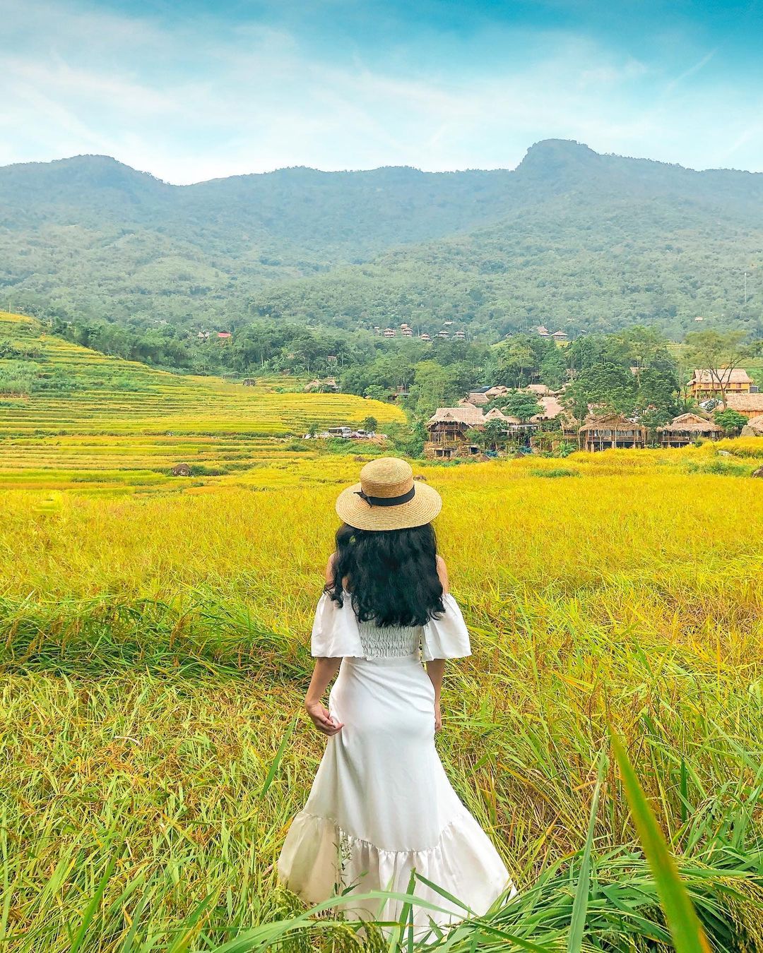 TOUR DU LỊCH KỶ YẾU MAI CHÂU
